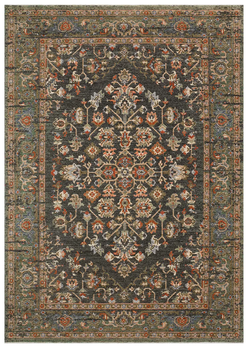 Razz Collection - RZ04