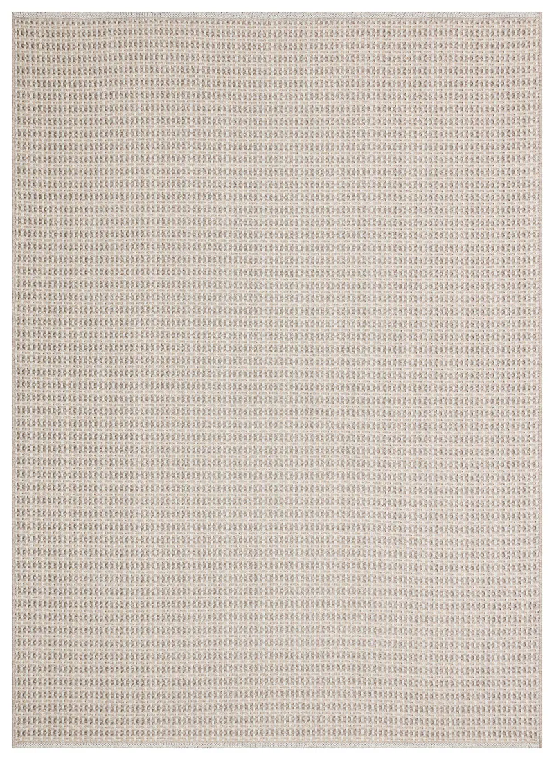 Rug Collection - RG06